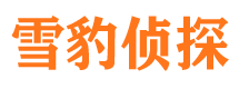 岢岚市婚外情调查